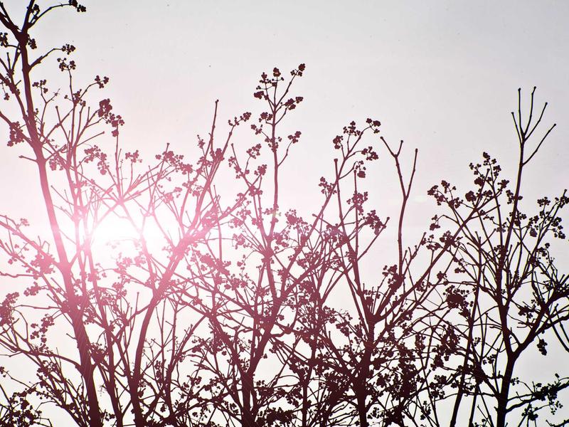 accessibility screenshot 1