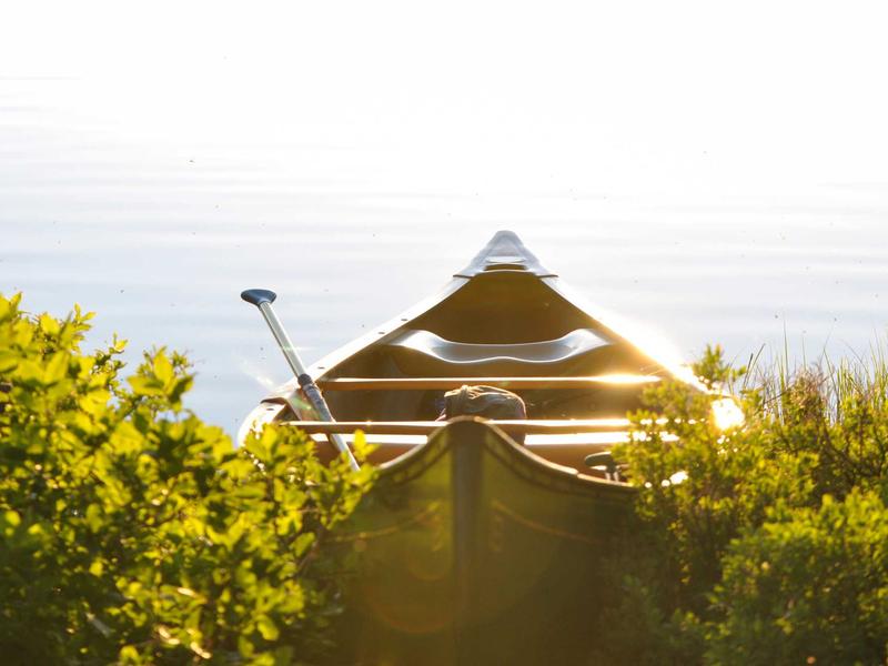 feedback screenshot 6