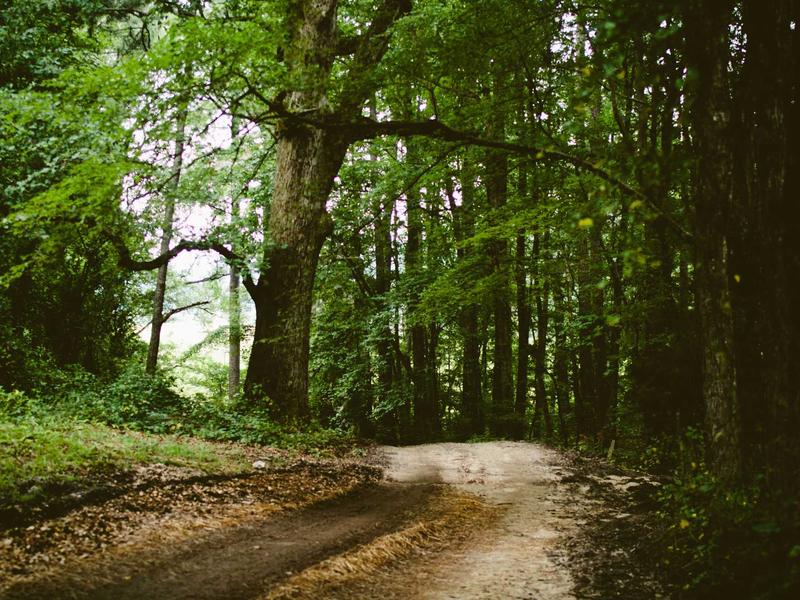 feedback screenshot 4